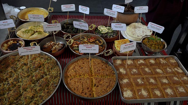 gastro1-005.jpg