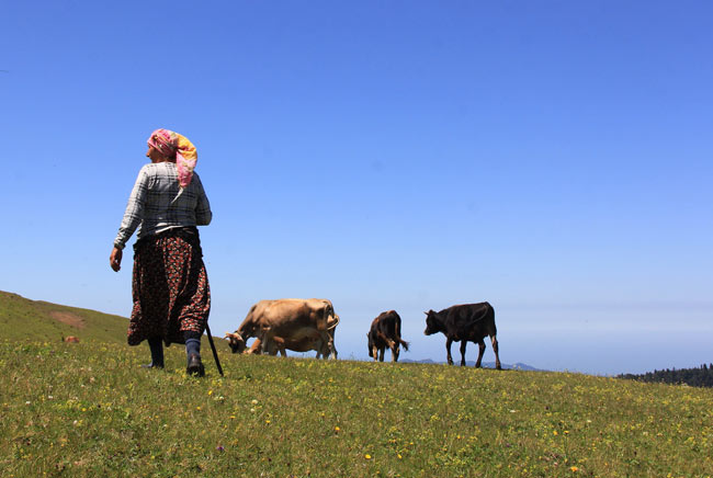 gito02.jpg gito02.jpg