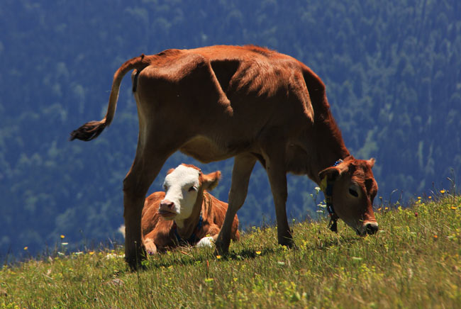 gito04.jpg gito04.jpg