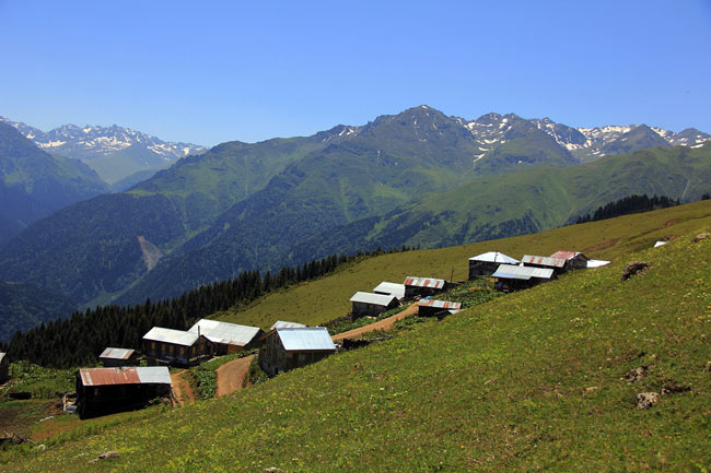 gito05.jpg gito05.jpg