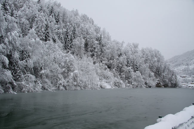 golet1.jpg golet1.jpg