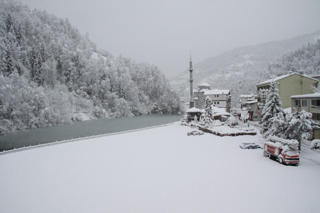 golet2.jpg golet2.jpg