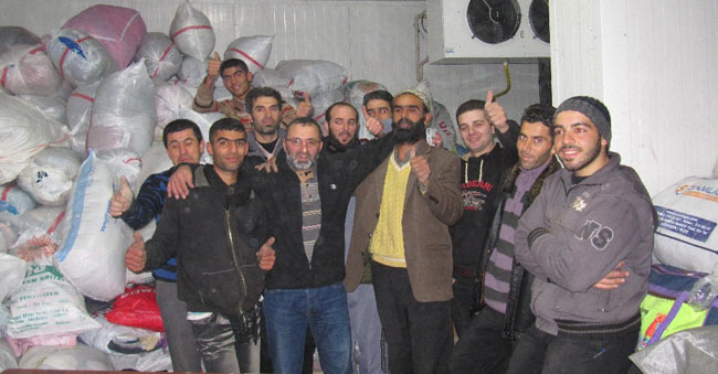 gulder1.jpg gulder1.jpg