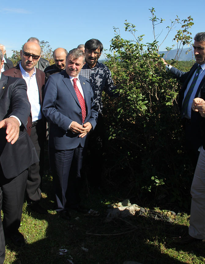 gurcucay1.jpg gurcucay1.jpg