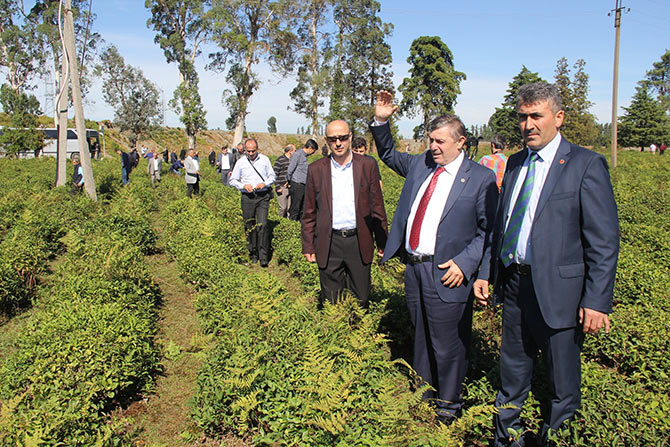 gurcucay2.jpg gurcucay2.jpg