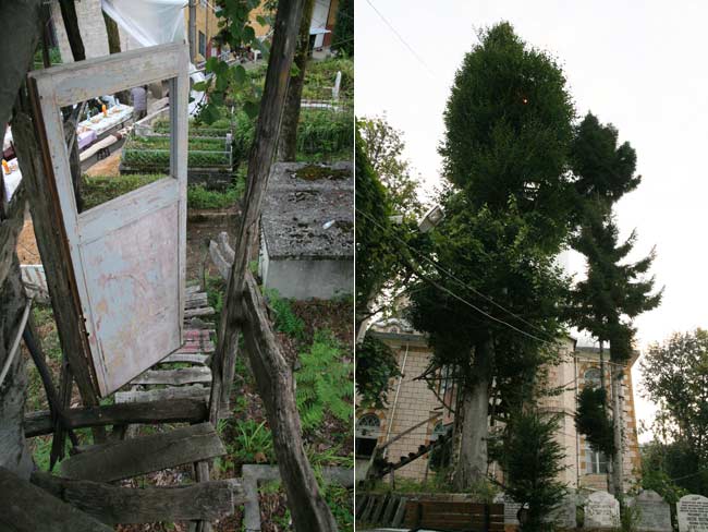 gurgen2.jpg gurgen2.jpg