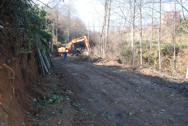 guzelyalimahallesi1.jpg guzelyalimahallesi1.jpg