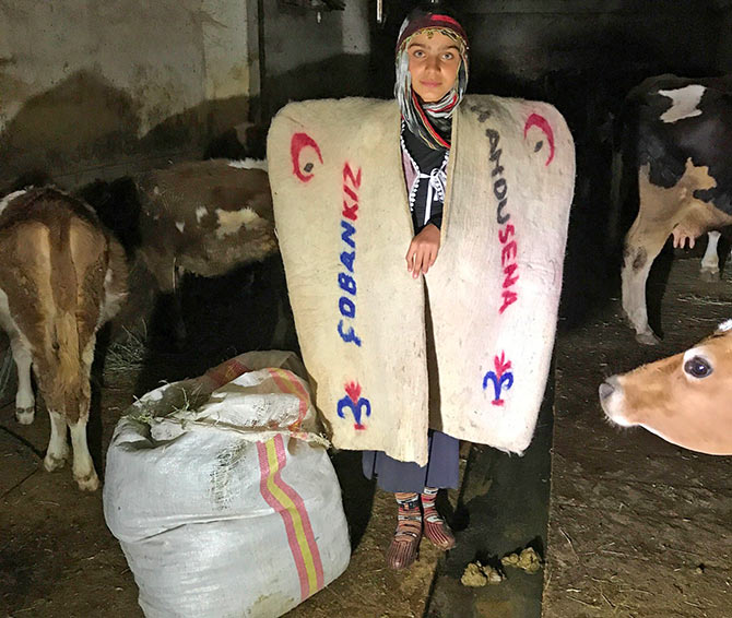 hamdusena2.jpg hamdusena2.jpg