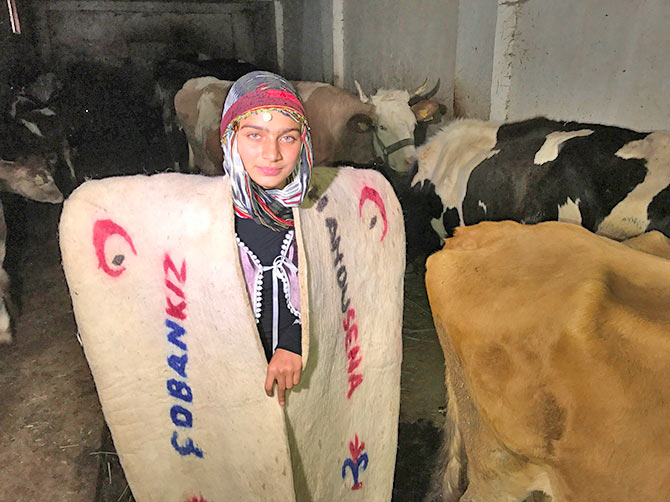 hamdusena4.jpg hamdusena4.jpg