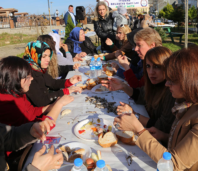 hams-001.jpg hams-001.jpg