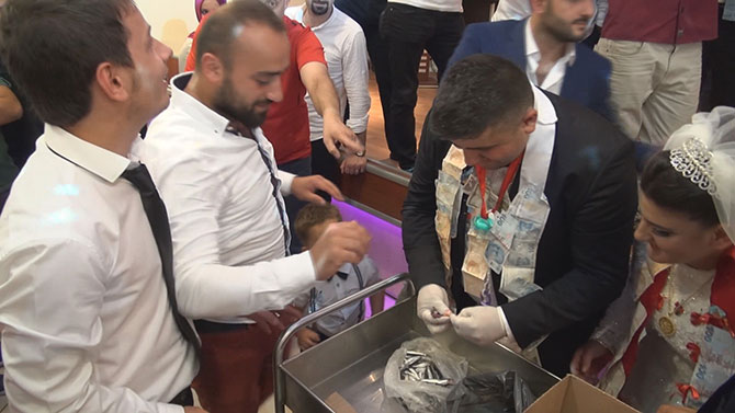 hams1-001.jpg hams1-001.jpg