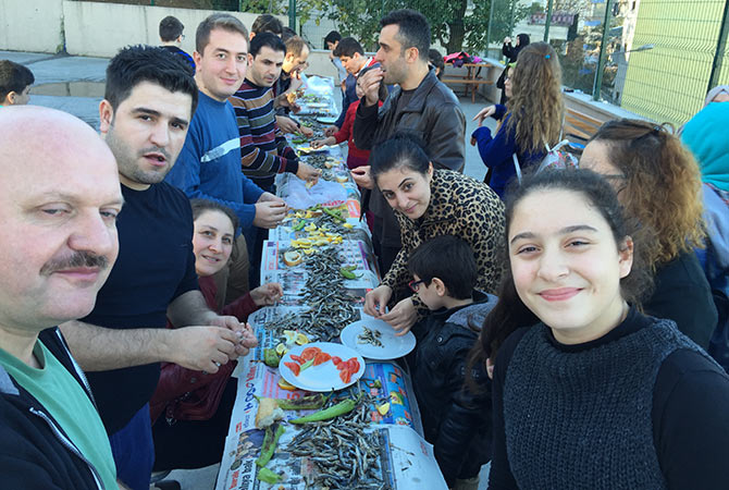 hams1-002.jpg hams1-002.jpg