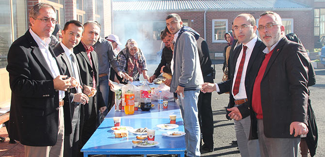 hams1-003.jpg hams1-003.jpg