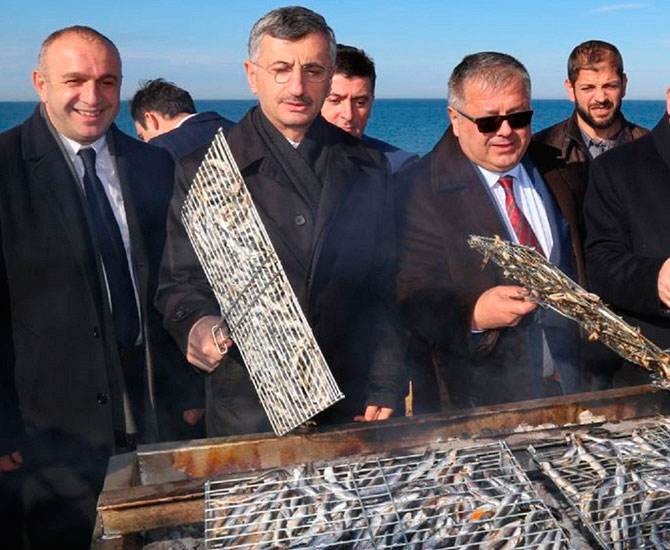 hams1-005.jpg hams1-005.jpg