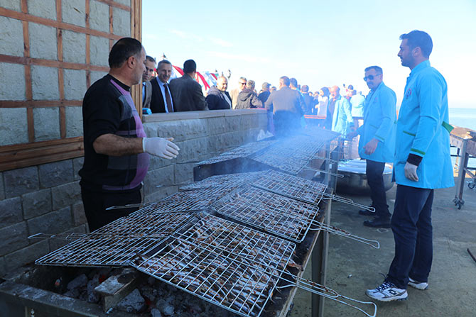 hams1-007.jpg hams1-007.jpg