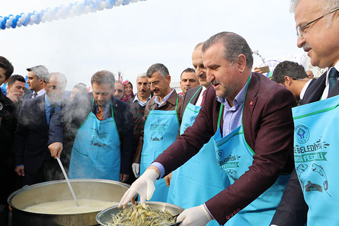 hams1-008.jpg hams1-008.jpg