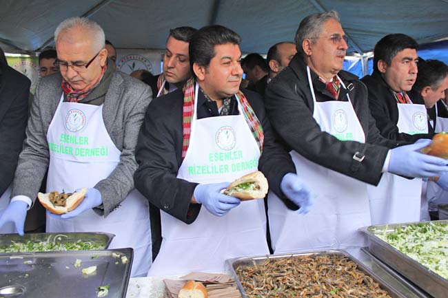 hams1.20130113222910.jpg hams1.20130113222910.jpg