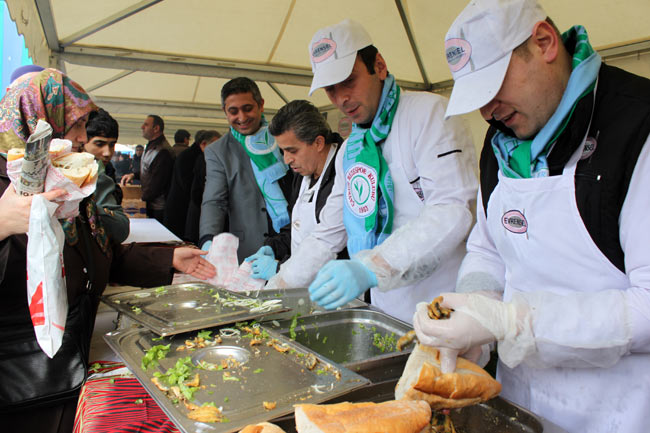 hams1.20130211100537.jpg hams1.20130211100537.jpg