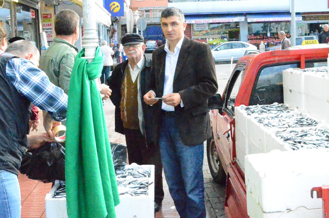 hams1.20131028190310.jpg hams1.20131028190310.jpg