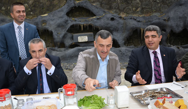 hams1.20131114222956.jpg hams1.20131114222956.jpg