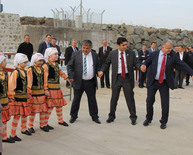 hams1.20141114165137.jpg hams1.20141114165137.jpg