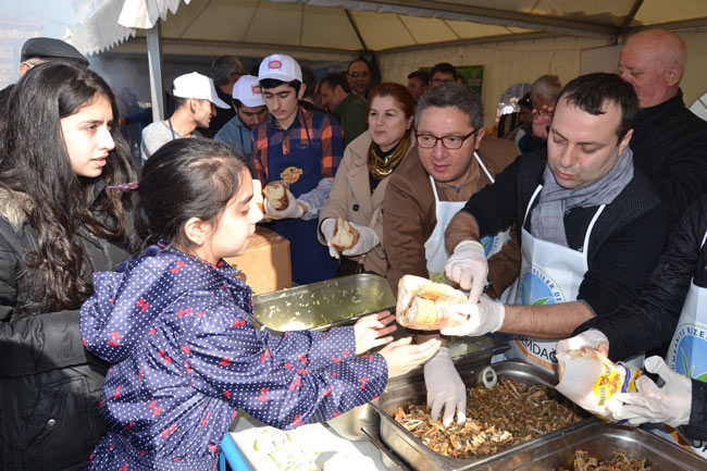 hams1.20150125234039.jpg hams1.20150125234039.jpg