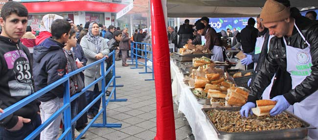 hams10.jpg hams10.jpg