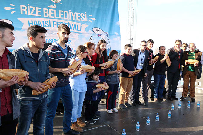 hams2-004.jpg hams2-004.jpg