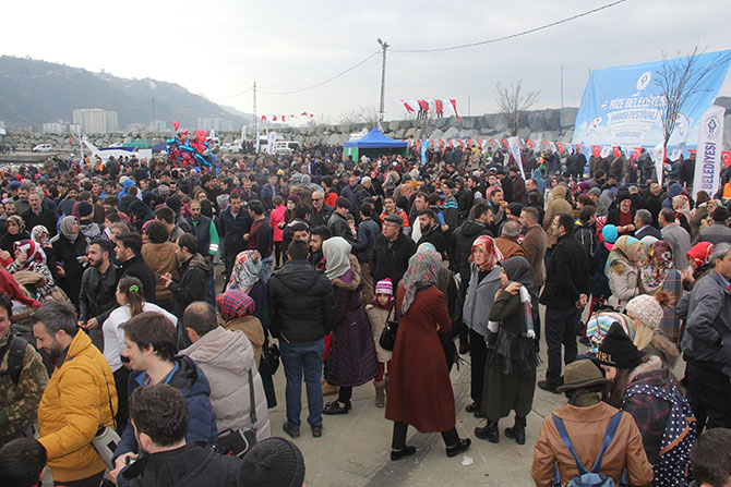 hams2-005.jpg hams2-005.jpg