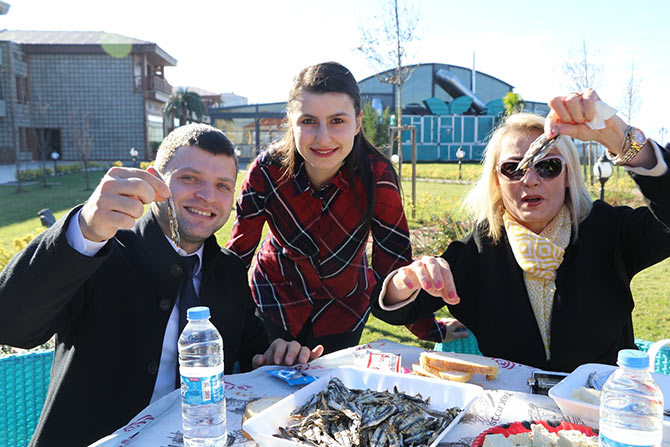 hams2-007.jpg hams2-007.jpg