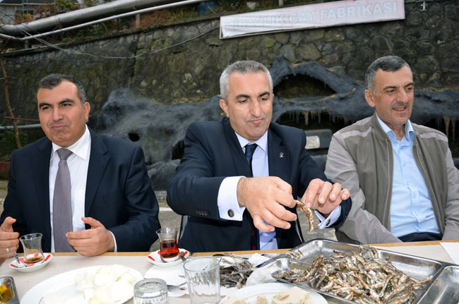 hams2.20131114223105.jpg hams2.20131114223105.jpg