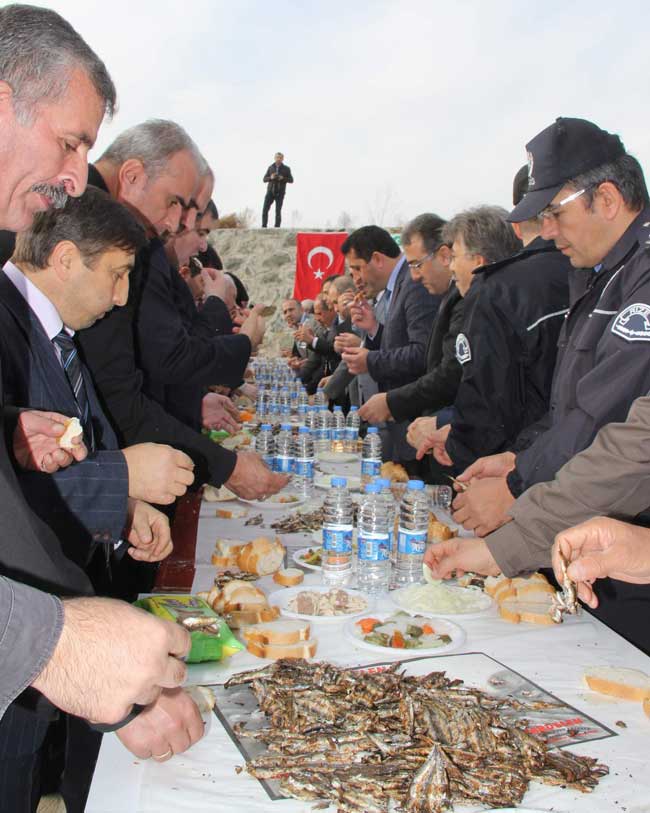 hams2.20141114165153.jpg hams2.20141114165153.jpg