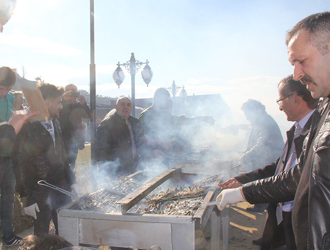 hams23,.jpg hams23,.jpg