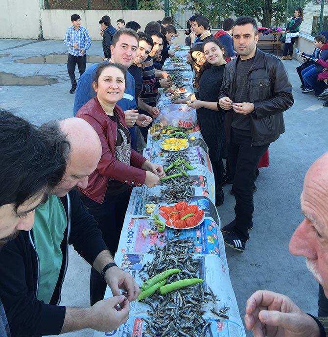 hams3-001.jpg hams3-001.jpg