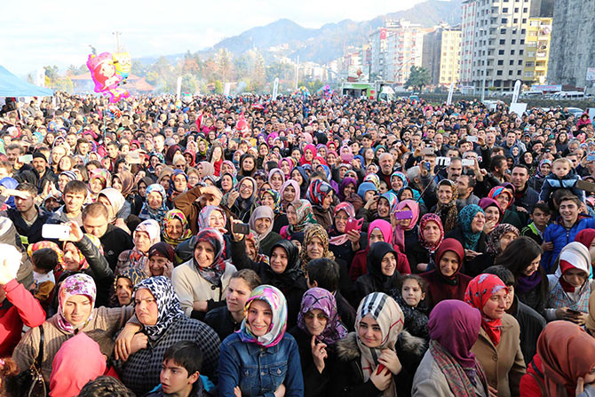 hams3-003.jpg hams3-003.jpg