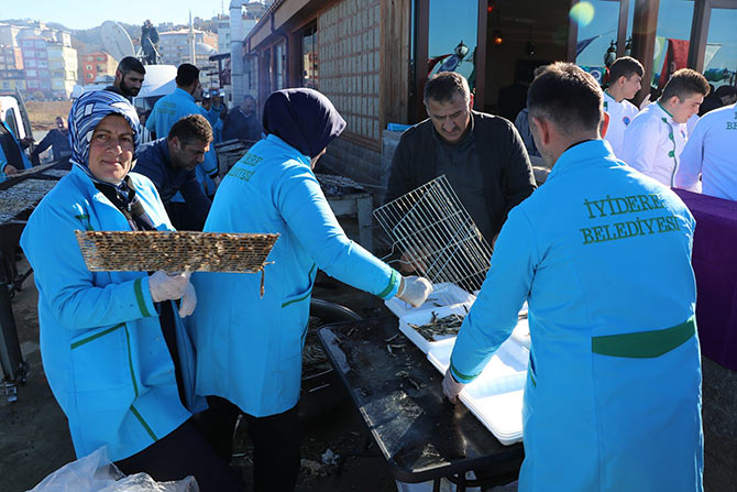 hams3-006.jpg hams3-006.jpg