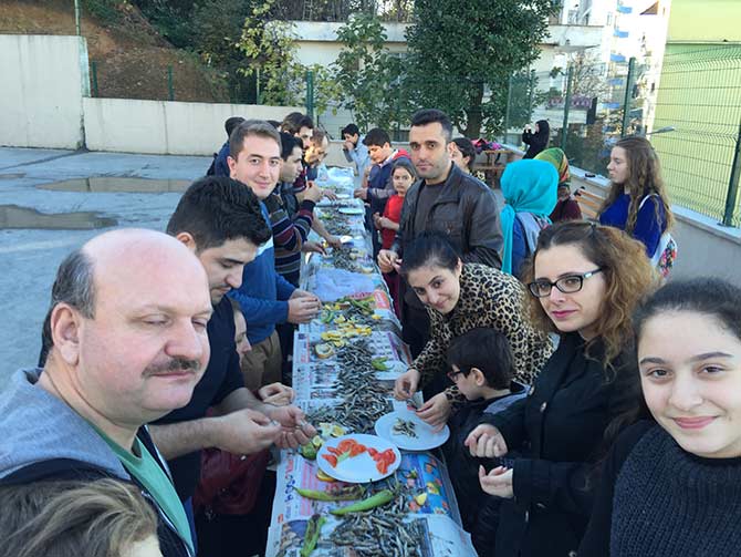 hams4-001.jpg hams4-001.jpg