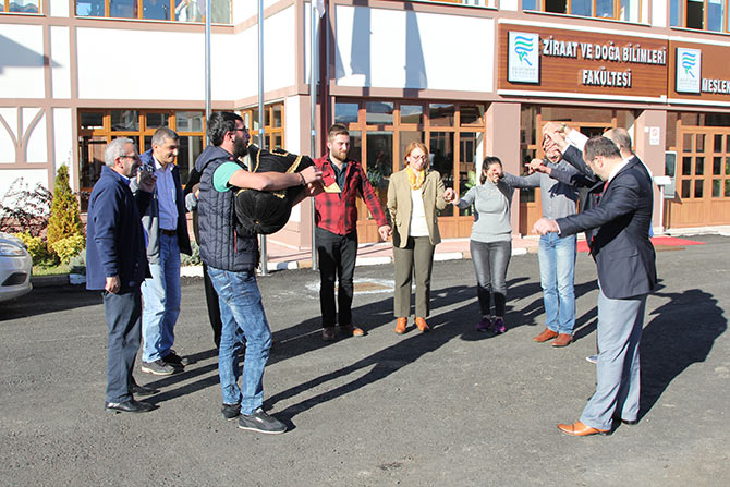 hams4-002.jpg hams4-002.jpg