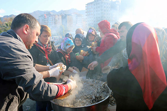 hams4-003.jpg hams4-003.jpg