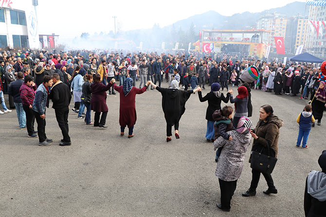 hams4-004.jpg hams4-004.jpg