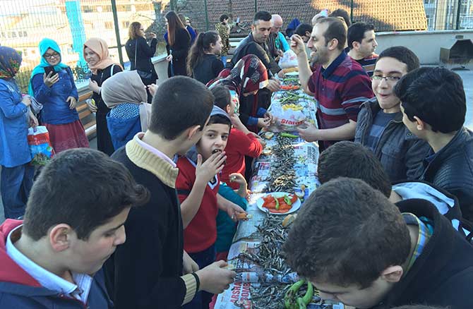 hams5-001.jpg hams5-001.jpg