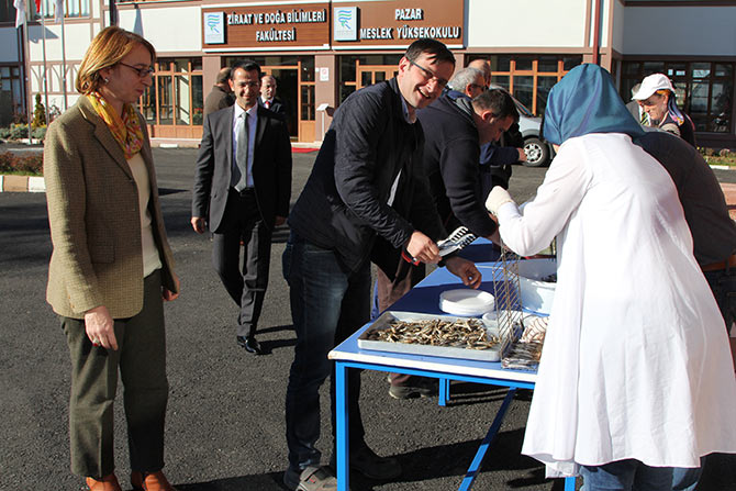 hams5-002.jpg hams5-002.jpg