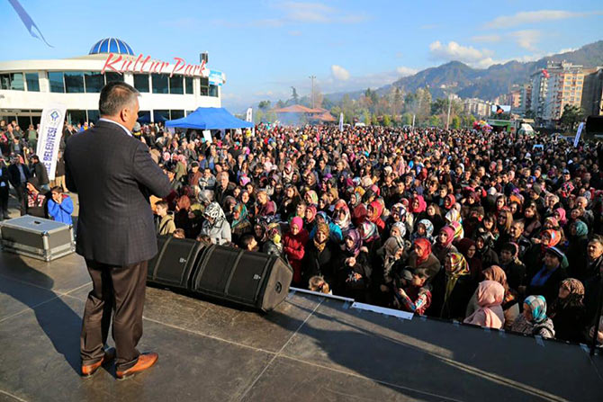 hams5-003.jpg hams5-003.jpg