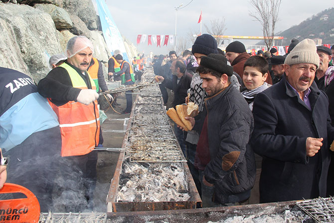 hams5-004.jpg hams5-004.jpg