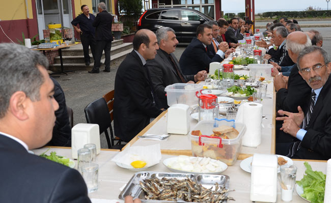 hams5.20131114223045.jpg hams5.20131114223045.jpg