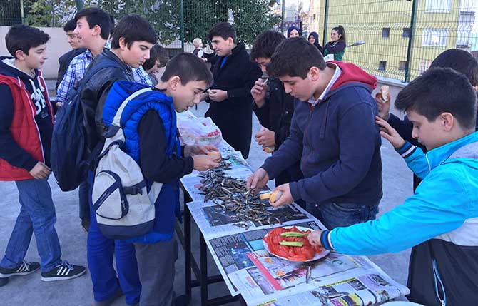 hams6-001.jpg hams6-001.jpg