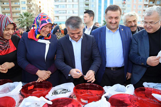 hams6-003.jpg hams6-003.jpg