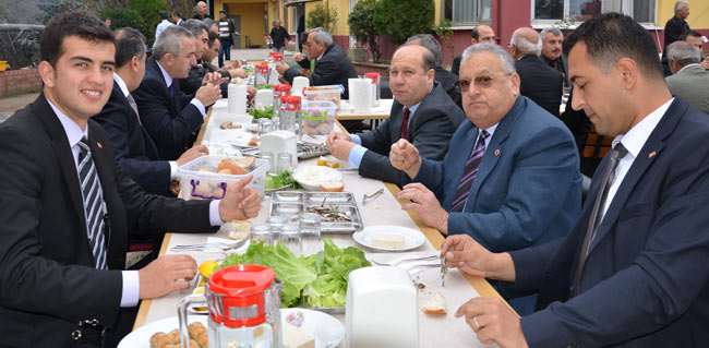 hams6.20131114223033.jpg hams6.20131114223033.jpg