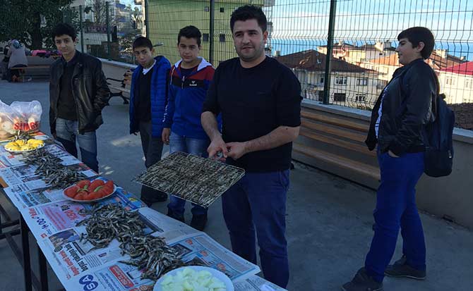 hams7-001.jpg hams7-001.jpg