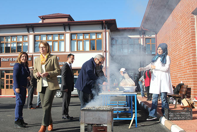 hams7-002.jpg hams7-002.jpg